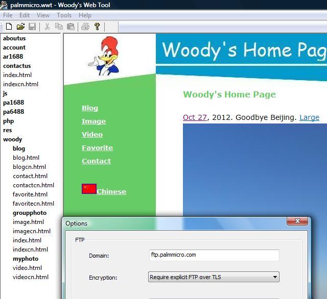 Screen shot of Woody's Web Tool with FTPS encryption settings Require explicit FTP over TLS